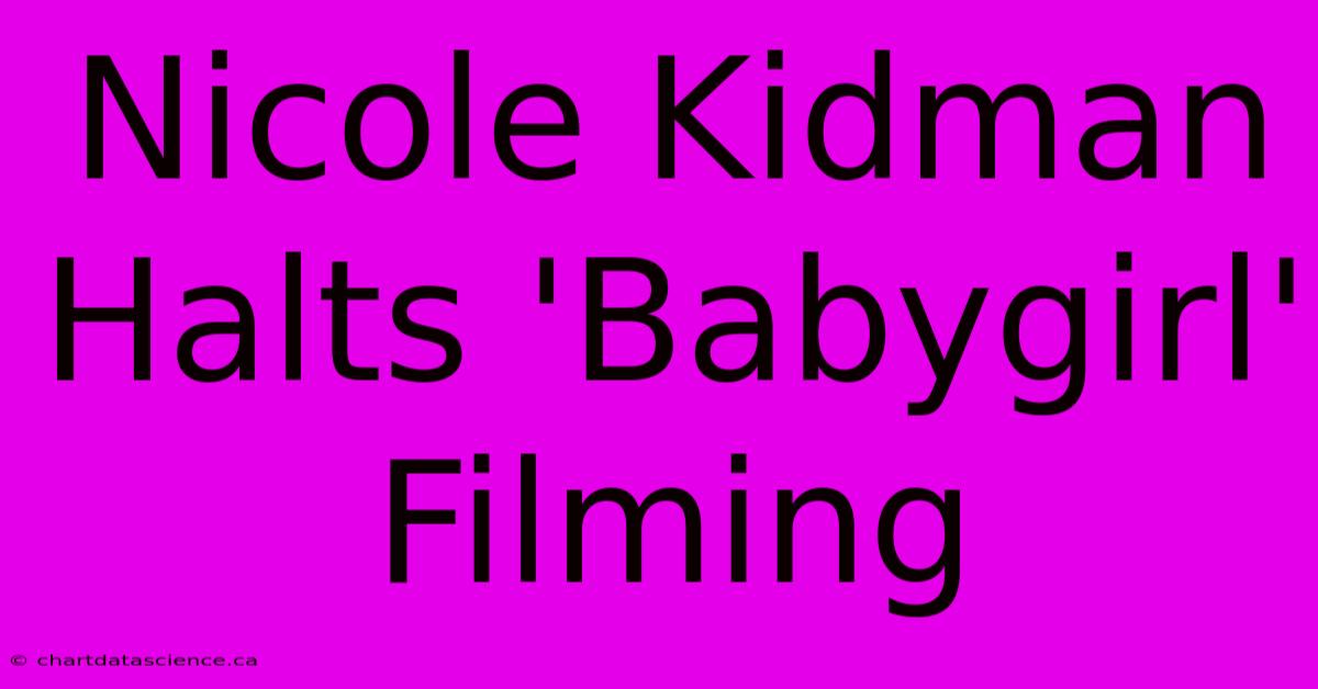 Nicole Kidman Halts 'Babygirl' Filming