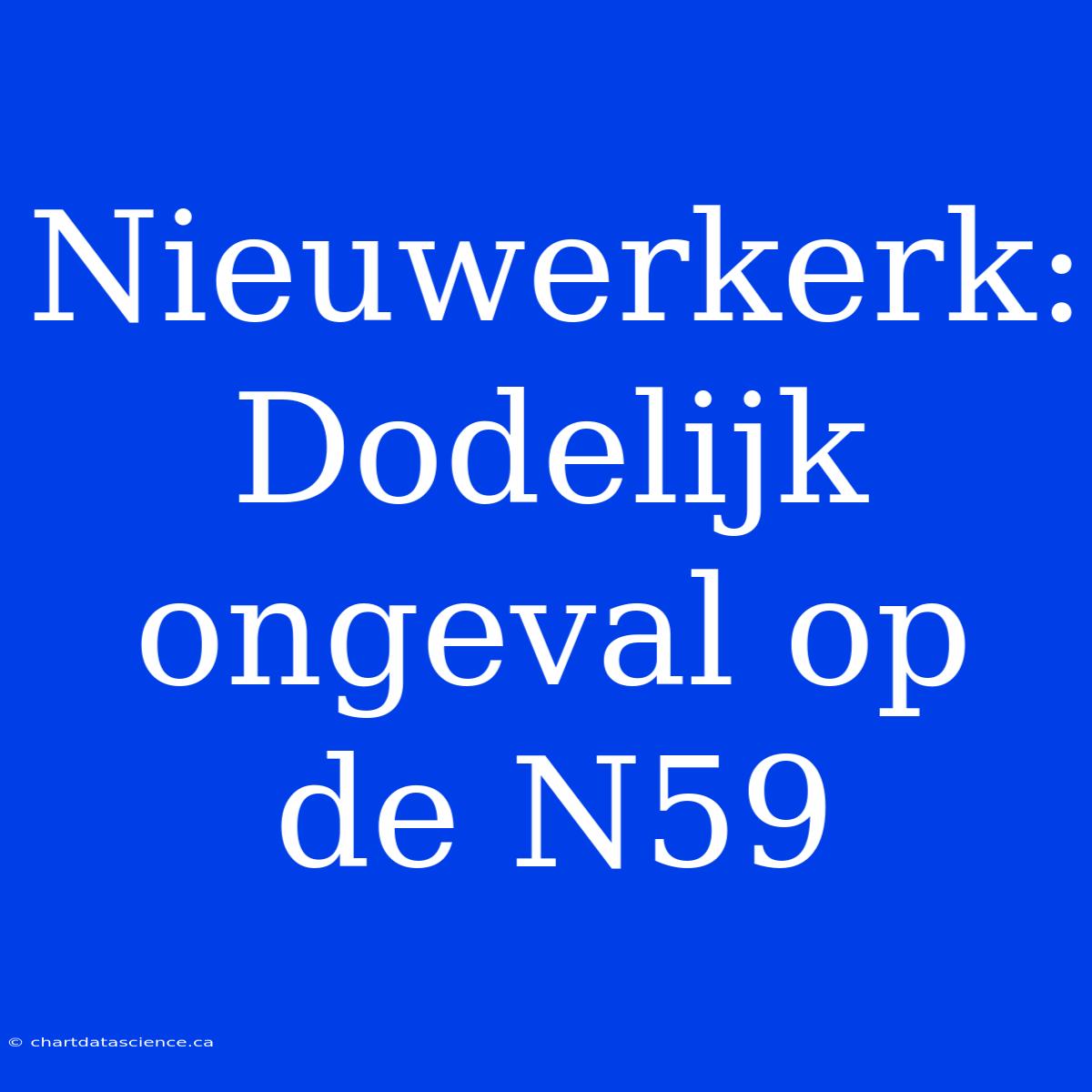 Nieuwerkerk: Dodelijk Ongeval Op De N59