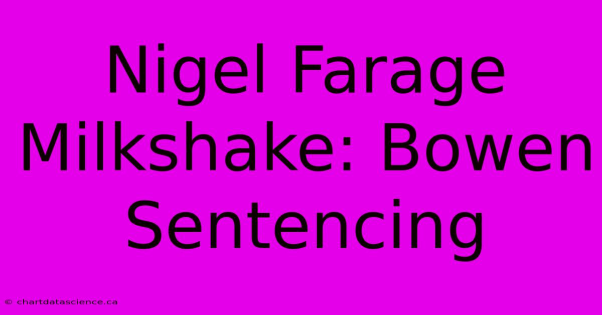 Nigel Farage Milkshake: Bowen Sentencing