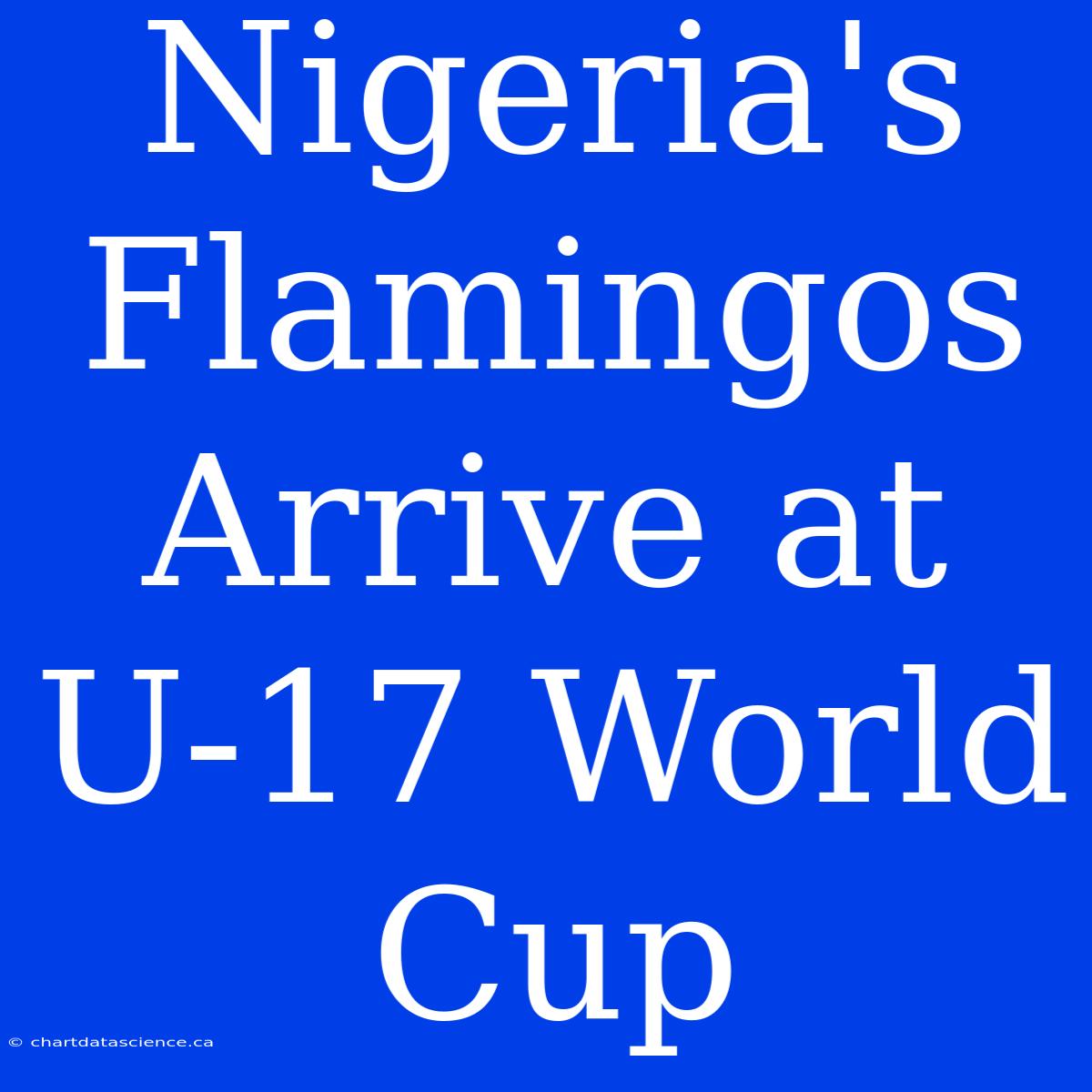 Nigeria's Flamingos Arrive At U-17 World Cup