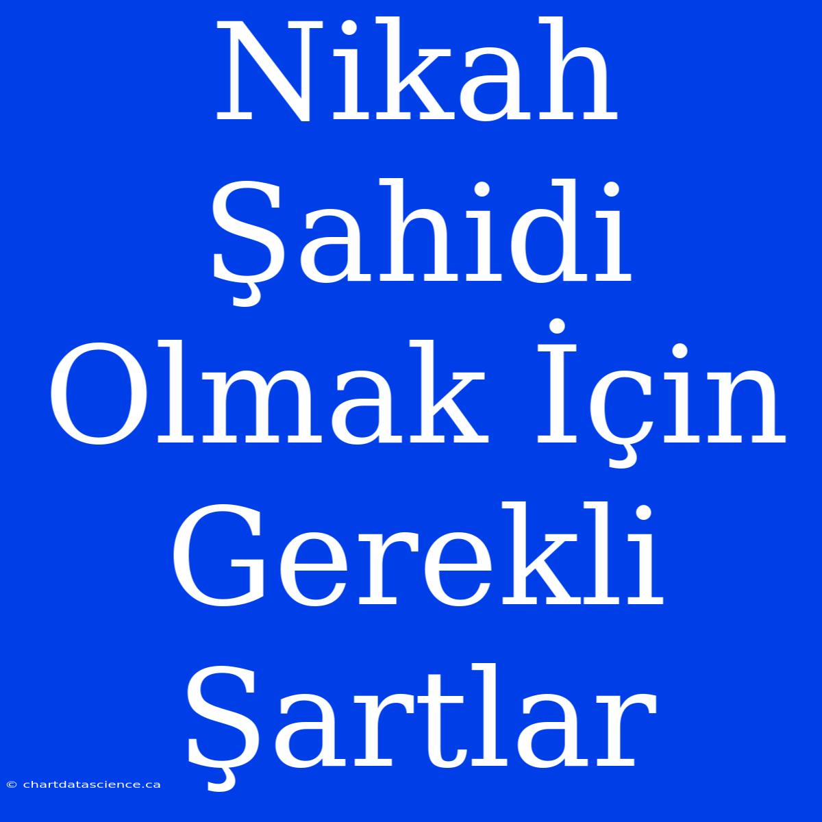 Nikah Şahidi Olmak İçin Gerekli Şartlar