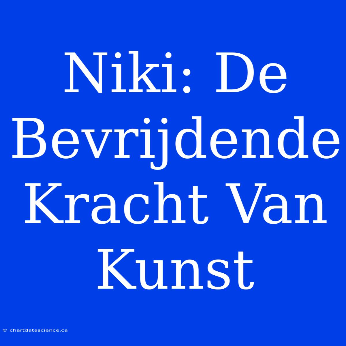 Niki: De Bevrijdende Kracht Van Kunst