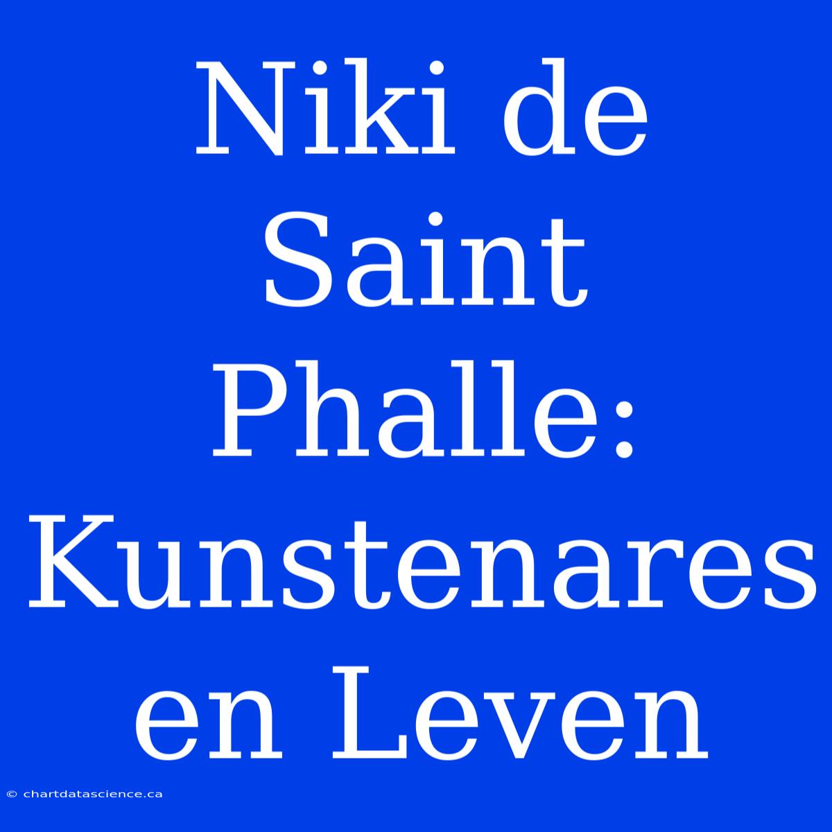 Niki De Saint Phalle: Kunstenares En Leven