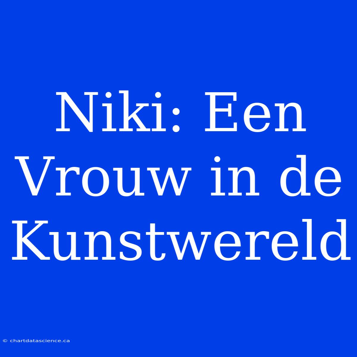 Niki: Een Vrouw In De Kunstwereld