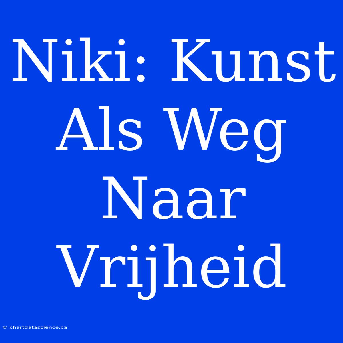 Niki: Kunst Als Weg Naar Vrijheid