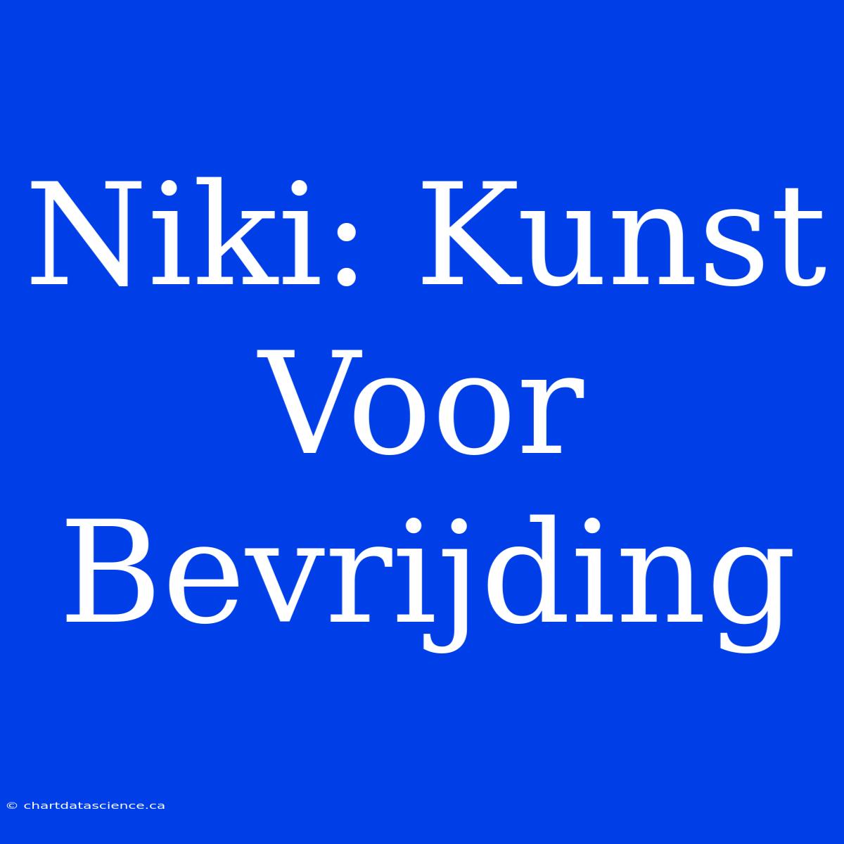 Niki: Kunst Voor Bevrijding