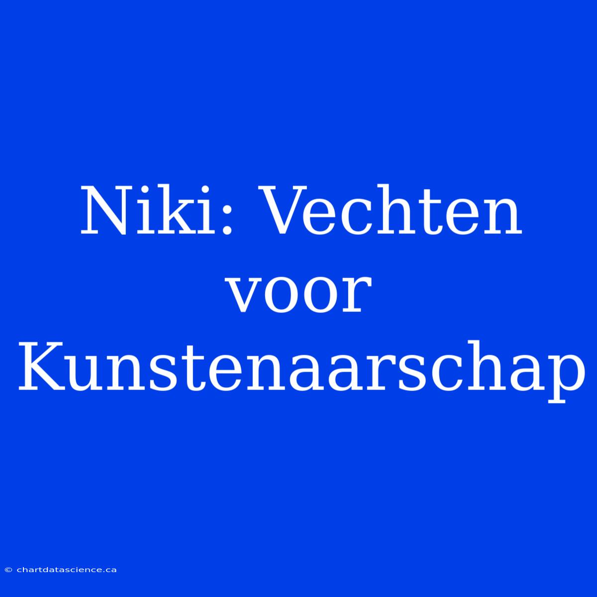 Niki: Vechten Voor Kunstenaarschap