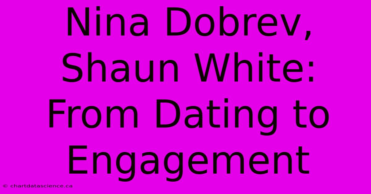 Nina Dobrev, Shaun White: From Dating To Engagement