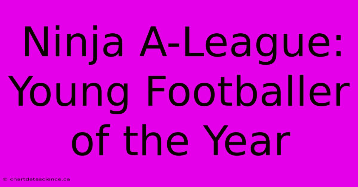 Ninja A-League: Young Footballer Of The Year 