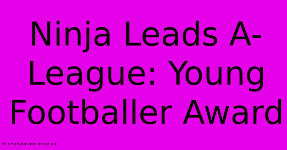 Ninja Leads A-League: Young Footballer Award