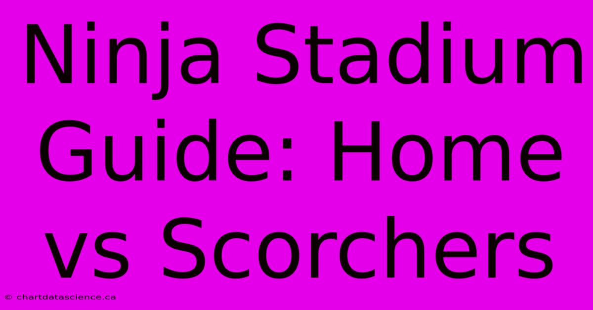 Ninja Stadium Guide: Home Vs Scorchers