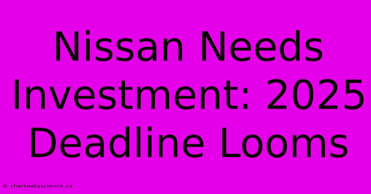 Nissan Needs Investment: 2025 Deadline Looms