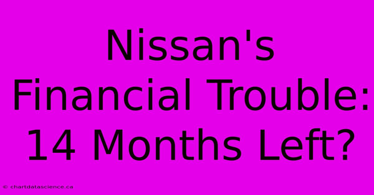 Nissan's Financial Trouble: 14 Months Left?