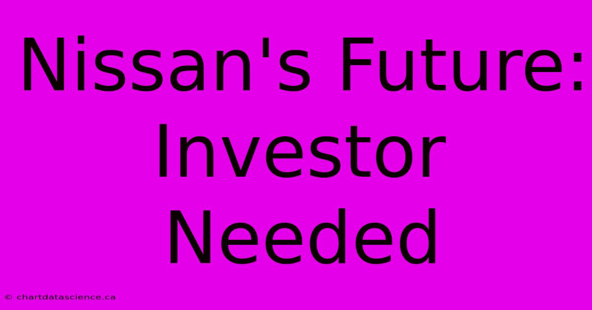 Nissan's Future: Investor Needed