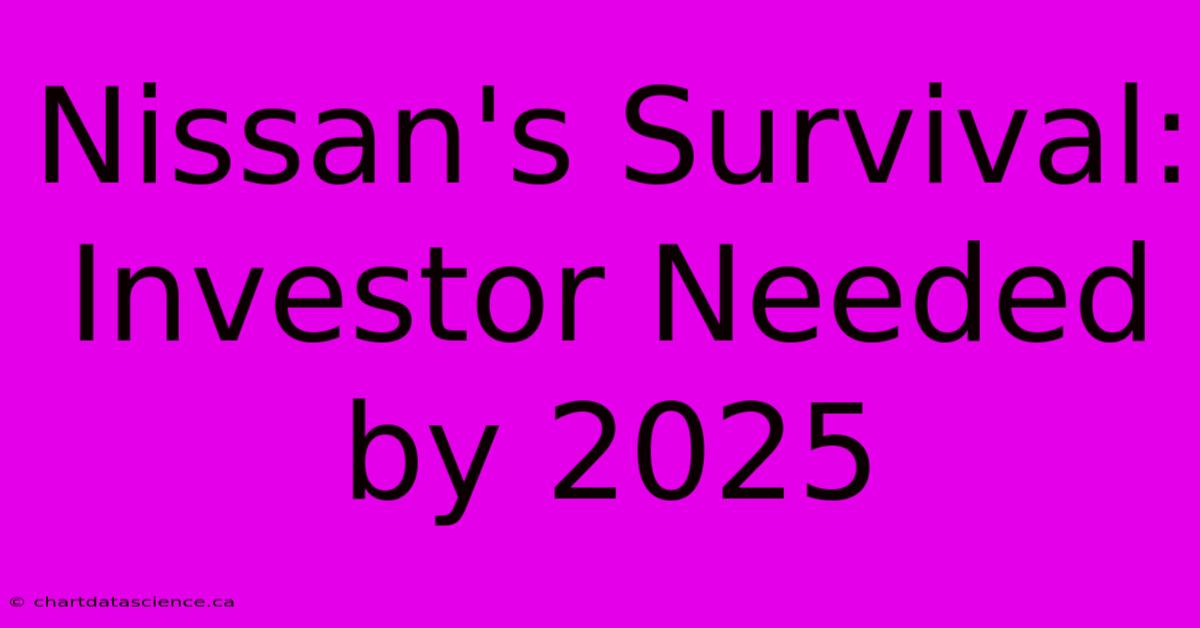 Nissan's Survival: Investor Needed By 2025