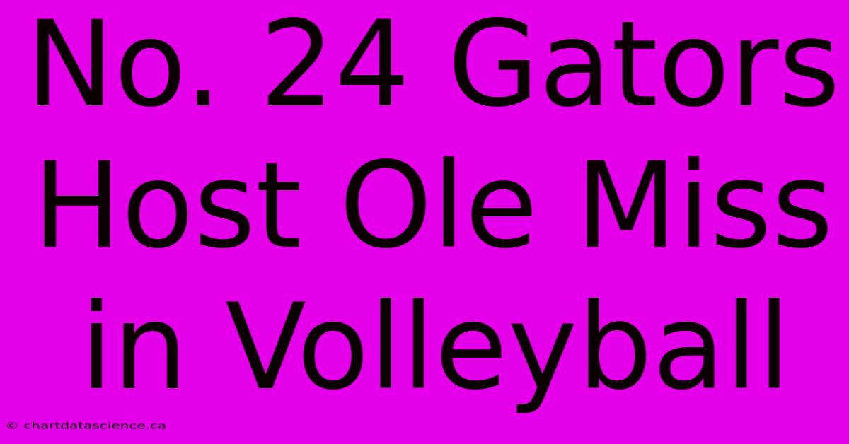 No. 24 Gators Host Ole Miss In Volleyball