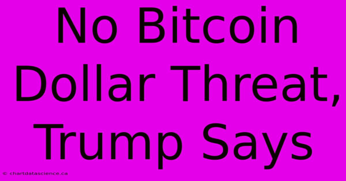 No Bitcoin Dollar Threat, Trump Says