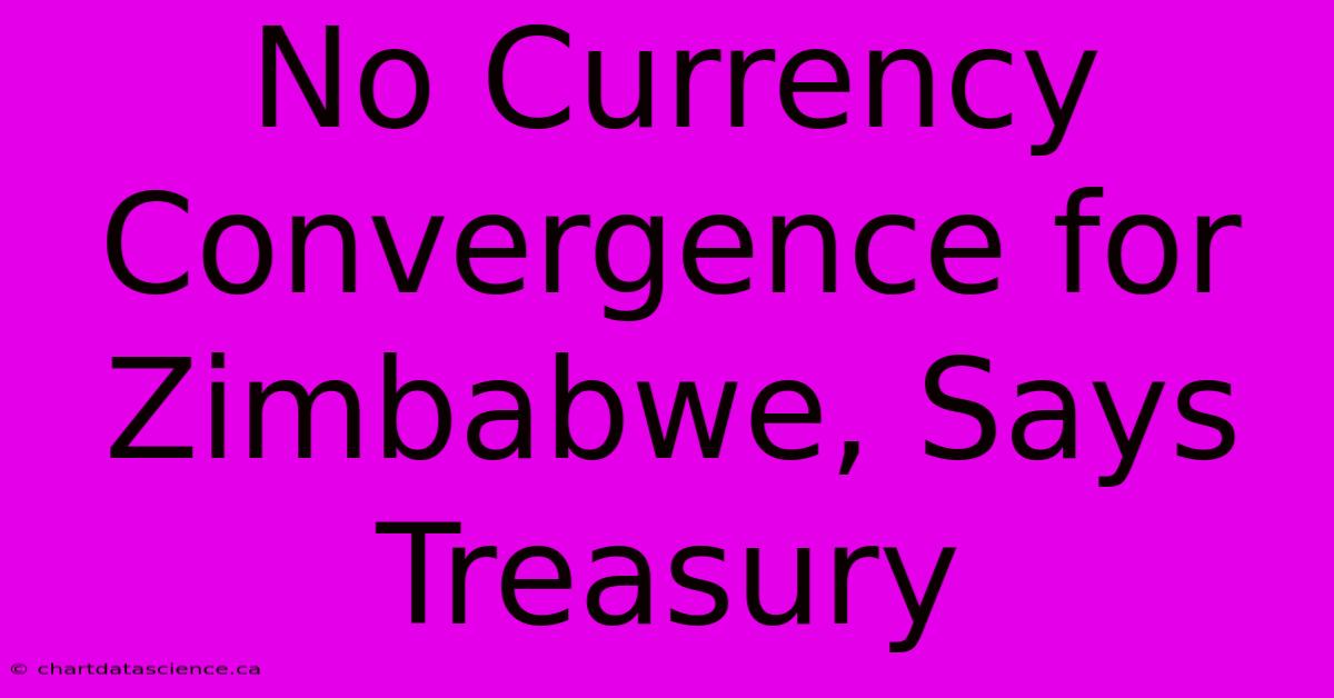 No Currency Convergence For Zimbabwe, Says Treasury