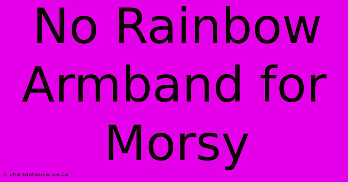 No Rainbow Armband For Morsy