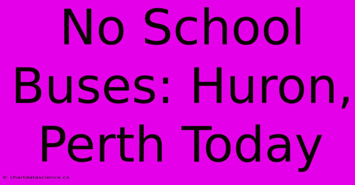 No School Buses: Huron, Perth Today