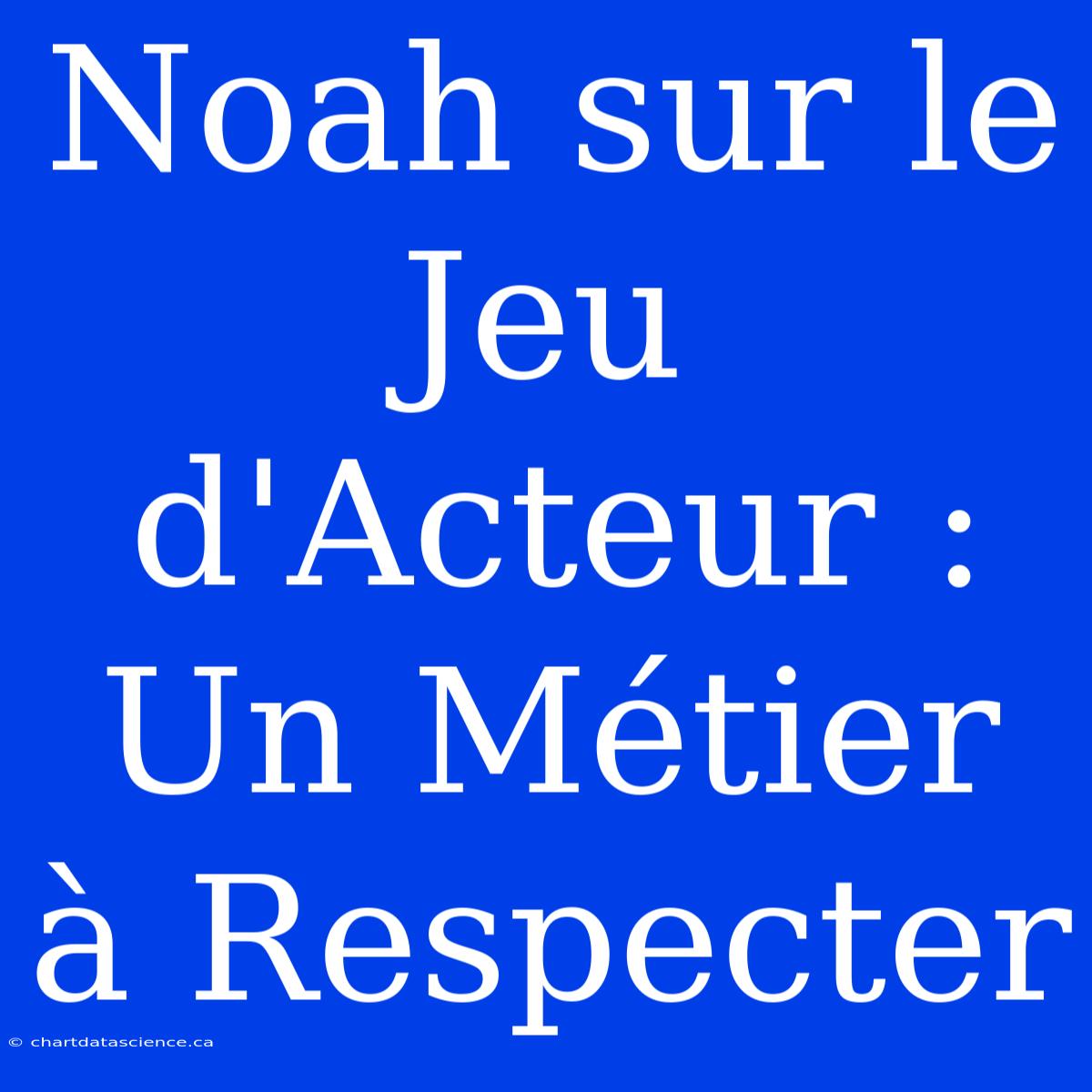 Noah Sur Le Jeu D'Acteur : Un Métier À Respecter