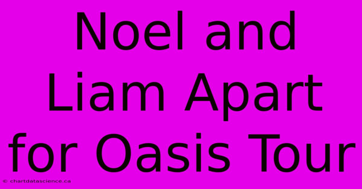 Noel And Liam Apart For Oasis Tour