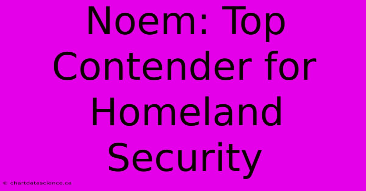 Noem: Top Contender For Homeland Security