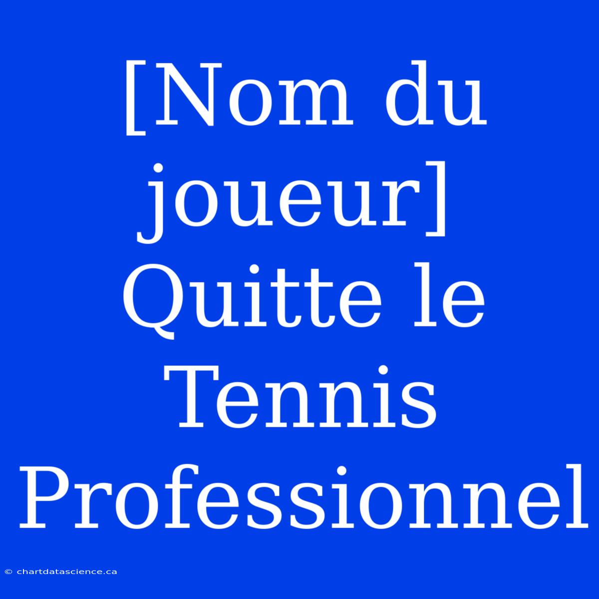 [Nom Du Joueur] Quitte Le Tennis Professionnel