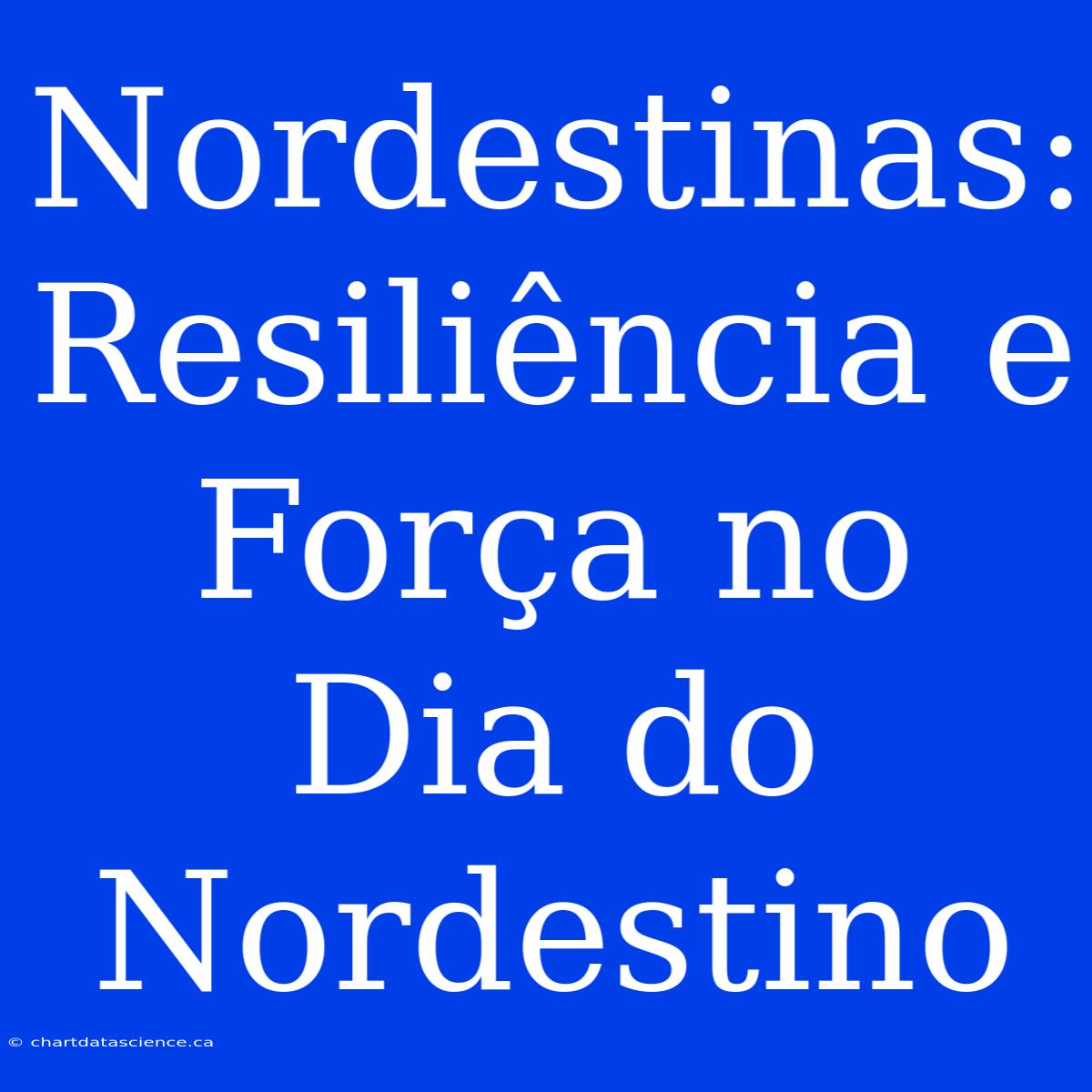 Nordestinas: Resiliência E Força No Dia Do Nordestino