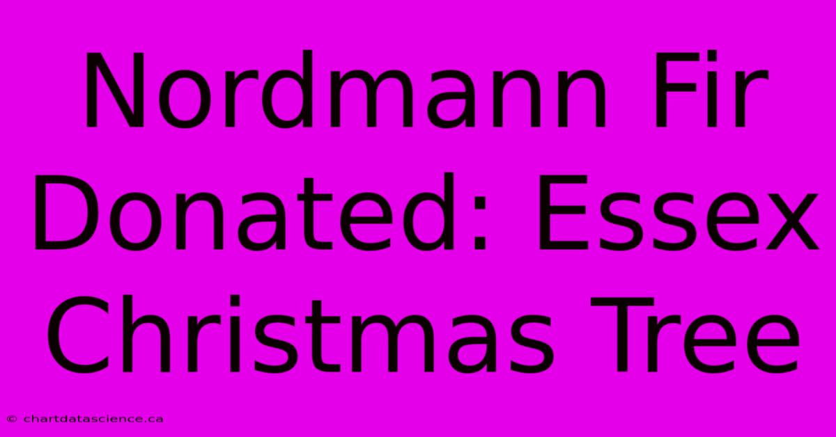 Nordmann Fir Donated: Essex Christmas Tree