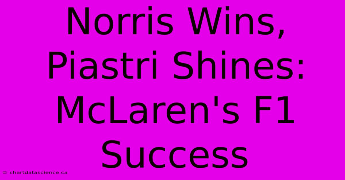 Norris Wins, Piastri Shines: McLaren's F1 Success 