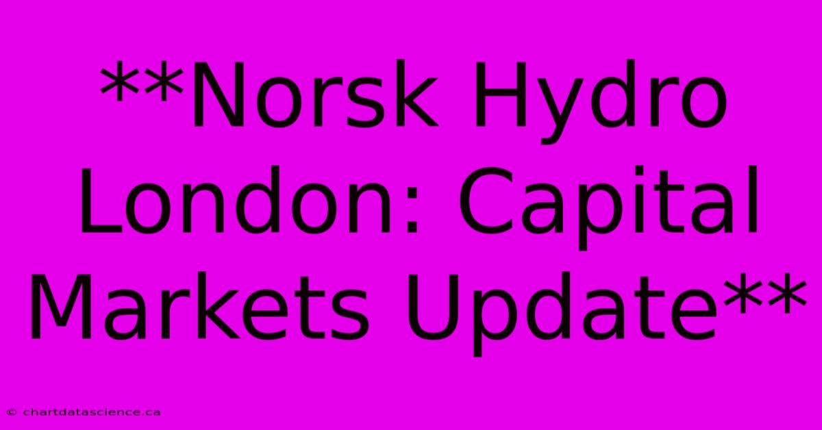 **Norsk Hydro London: Capital Markets Update** 