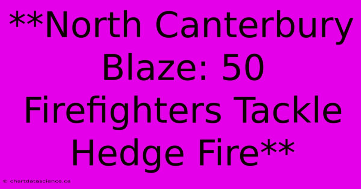 **North Canterbury Blaze: 50 Firefighters Tackle Hedge Fire** 