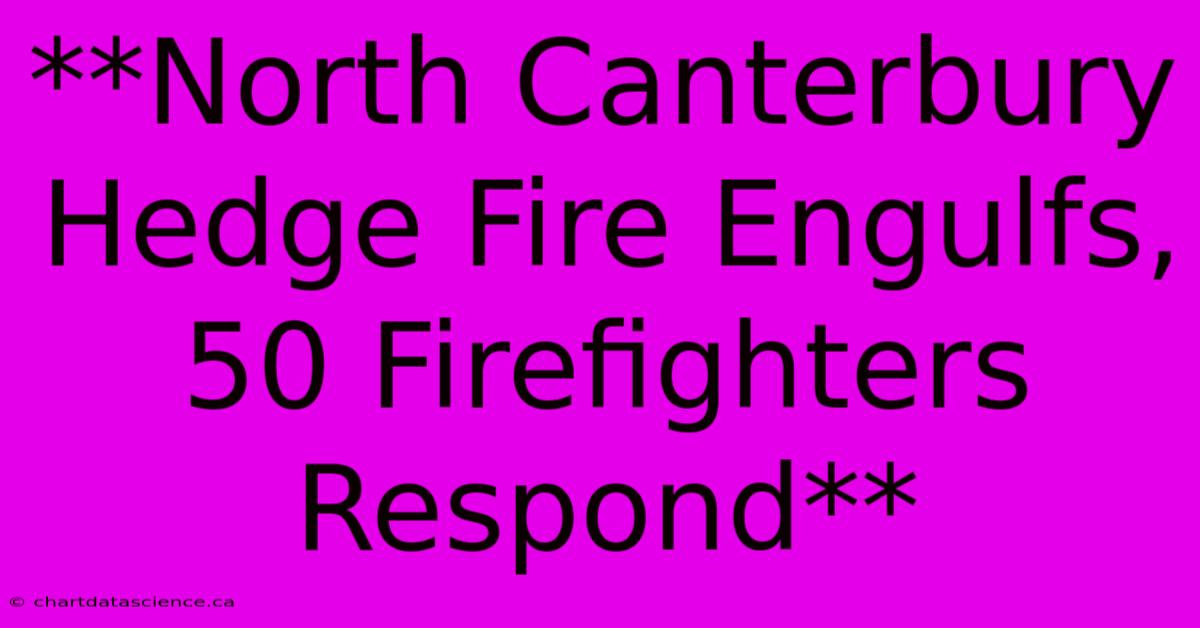 **North Canterbury Hedge Fire Engulfs, 50 Firefighters Respond**