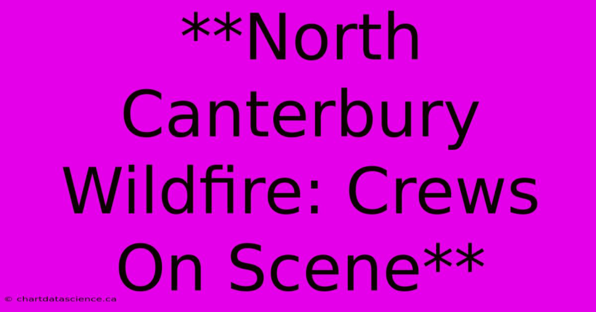 **North Canterbury Wildfire: Crews On Scene**