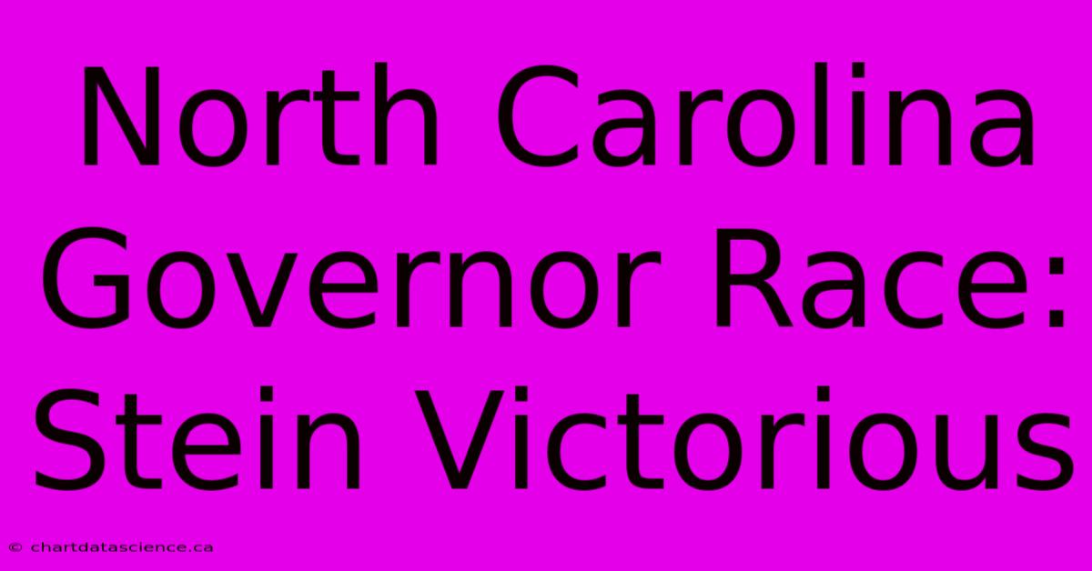 North Carolina Governor Race: Stein Victorious 