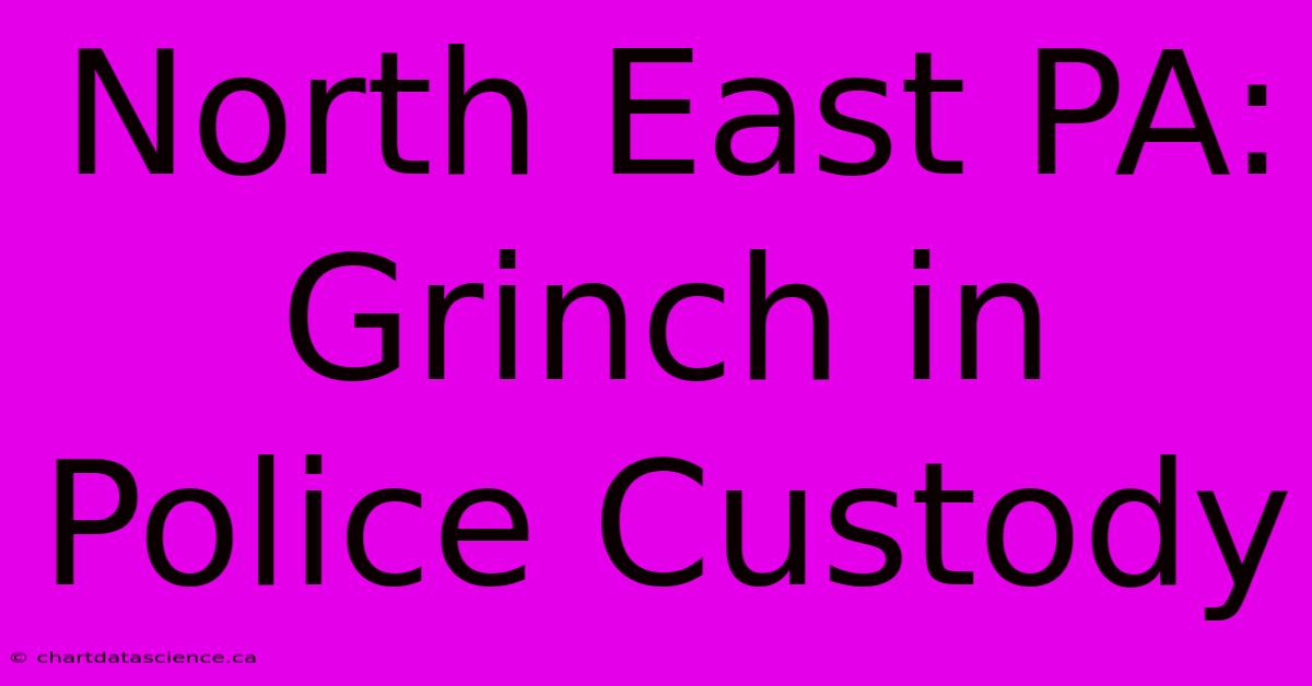 North East PA: Grinch In Police Custody