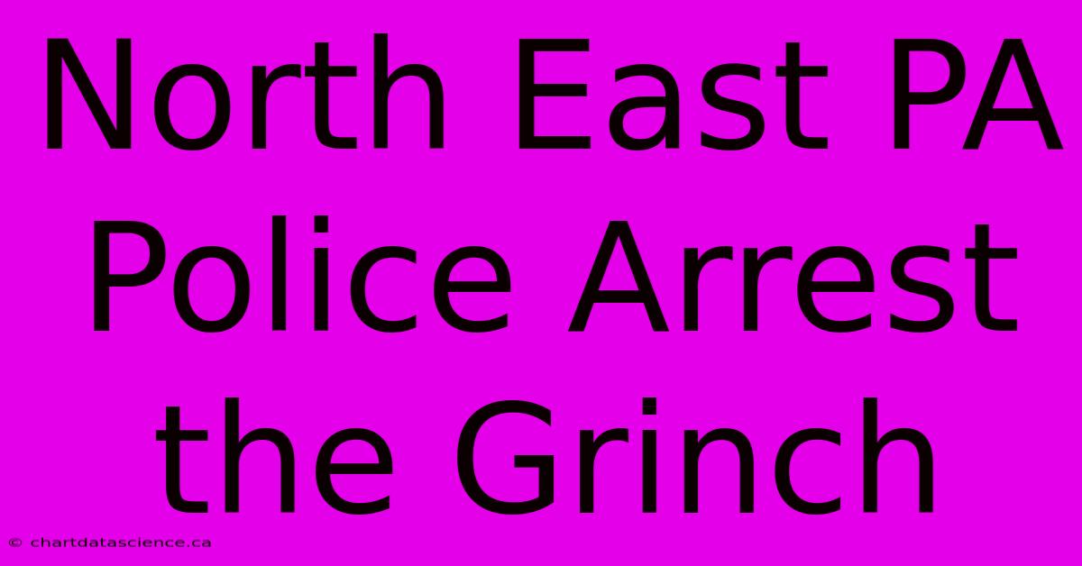 North East PA Police Arrest The Grinch