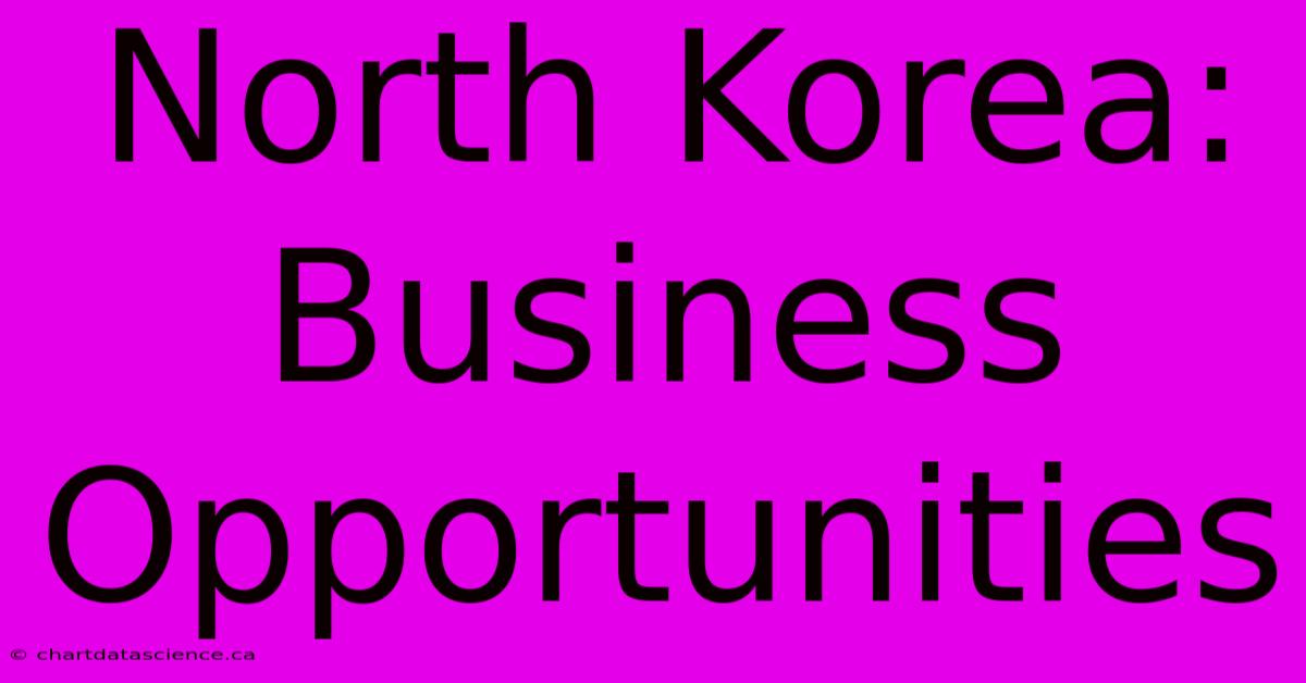 North Korea: Business Opportunities