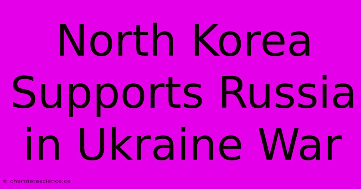 North Korea Supports Russia In Ukraine War 