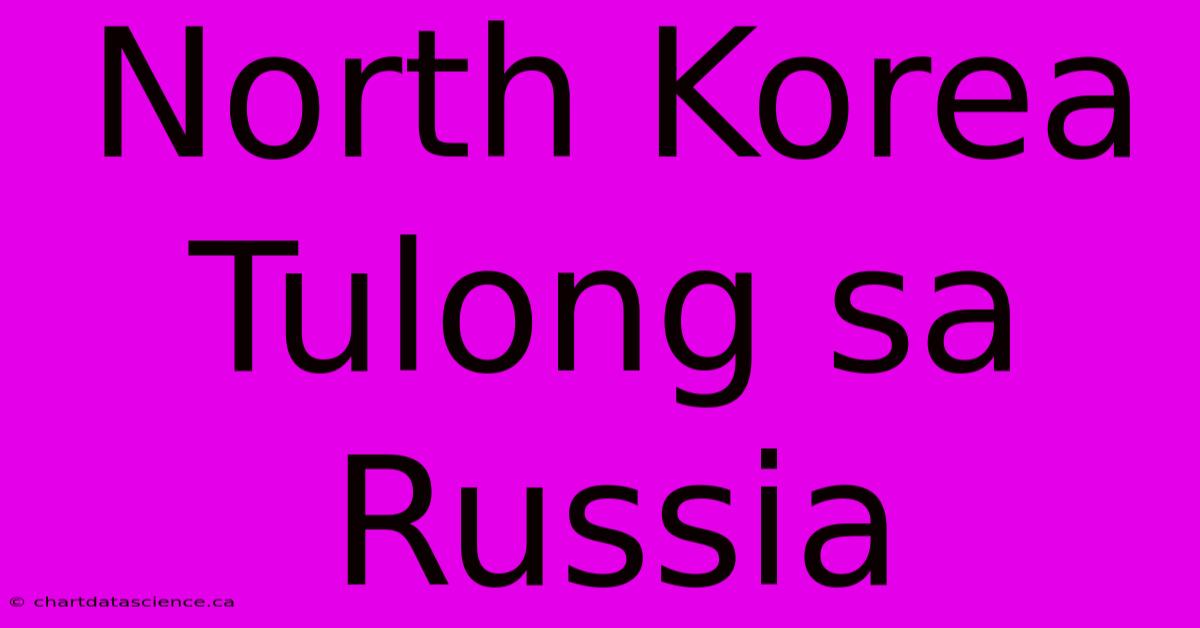 North Korea Tulong Sa Russia 