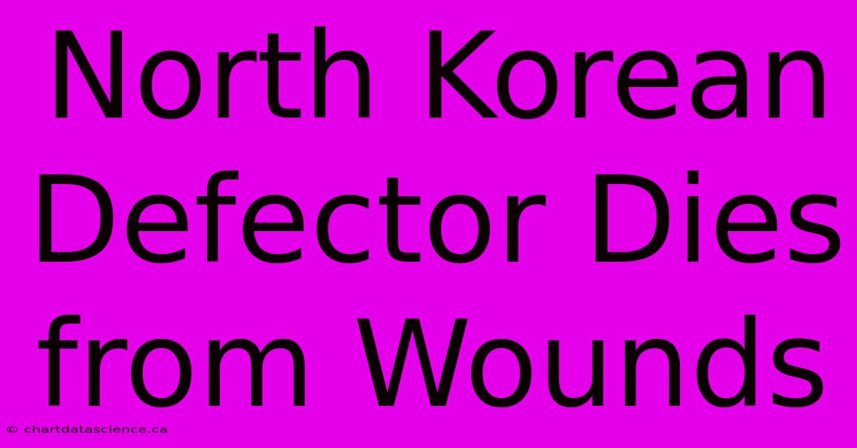 North Korean Defector Dies From Wounds