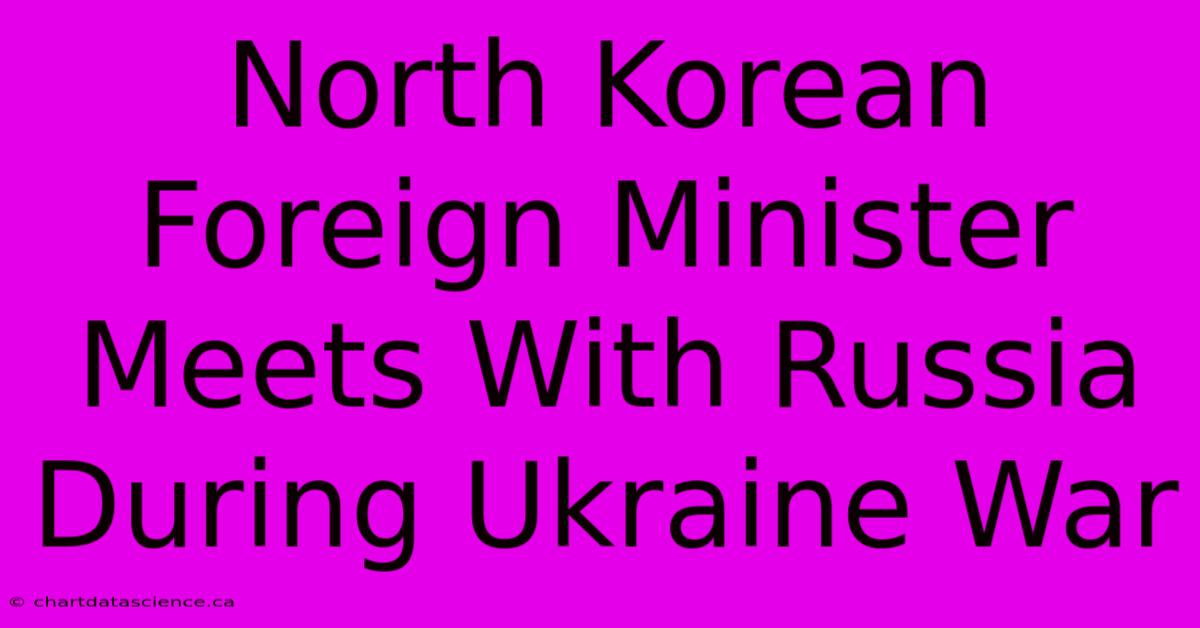 North Korean Foreign Minister Meets With Russia During Ukraine War