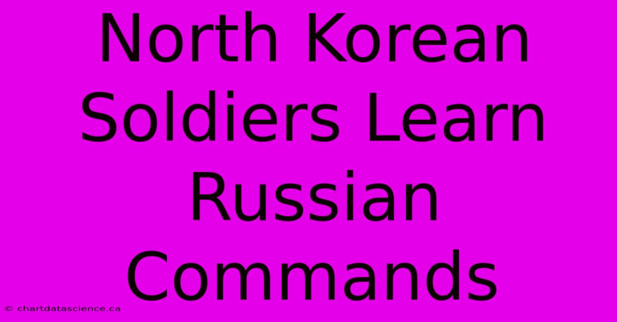 North Korean Soldiers Learn Russian Commands