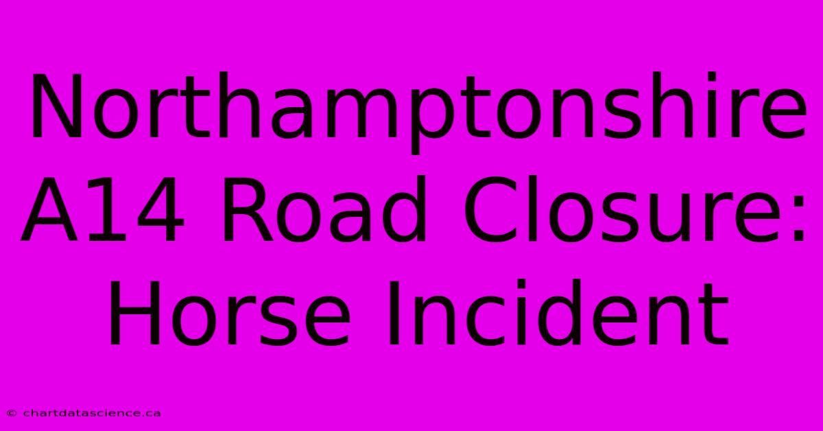 Northamptonshire A14 Road Closure: Horse Incident