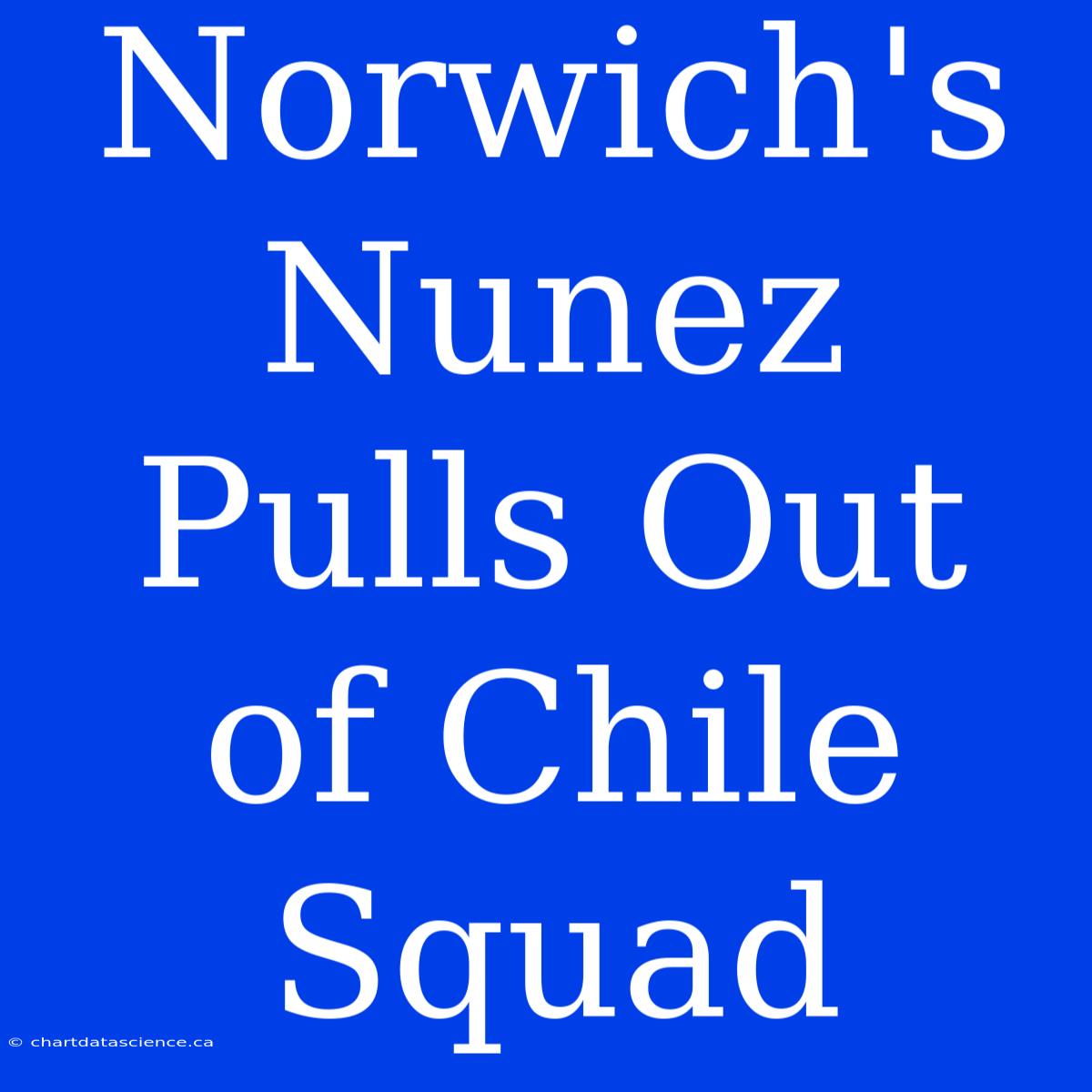 Norwich's Nunez Pulls Out Of Chile Squad