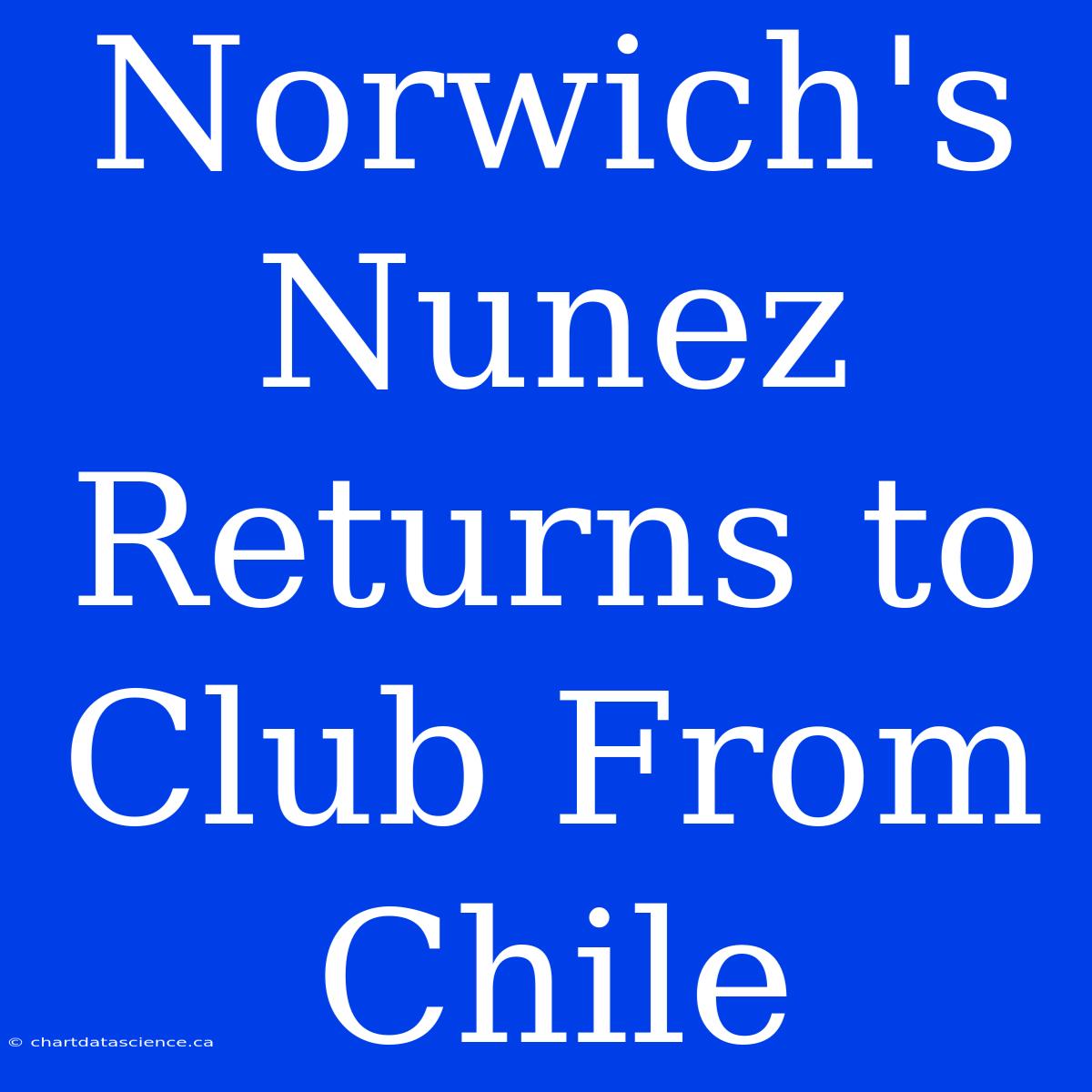 Norwich's Nunez  Returns To Club From Chile