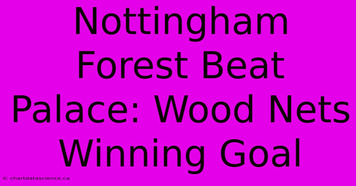 Nottingham Forest Beat Palace: Wood Nets Winning Goal