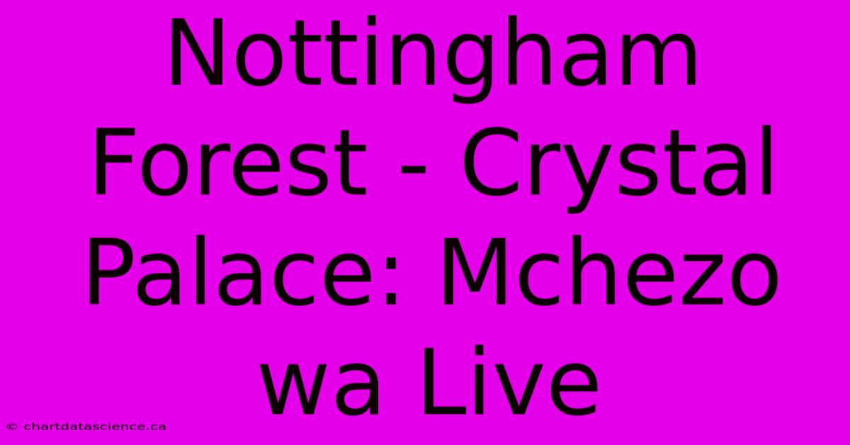 Nottingham Forest - Crystal Palace: Mchezo Wa Live 