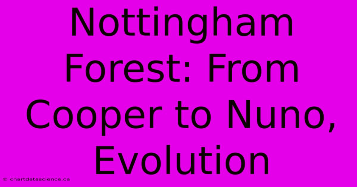 Nottingham Forest: From Cooper To Nuno, Evolution 